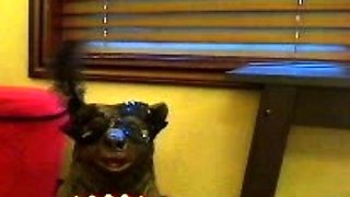 Cute solo blonde with big tits masturbates