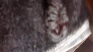 German fat hairy black pussy closeups