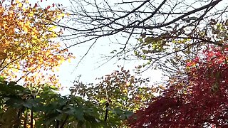 001-lmod-sex-sexsexi-apd