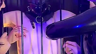 Teasing Our Caged Slave