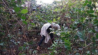 Desi Beautiful Hot Bhabhi Jungle Main Sex Kiya Out Dorsex