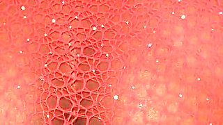 Sandra Star Fucks at Home and Gets a Creampie