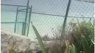 Summer Rose And Marc Rose In British Milf Holidaymaker Sucks And Fucks On The Beach In Cancun