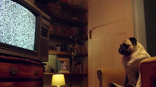 Spanish ride with Liz Rainbow