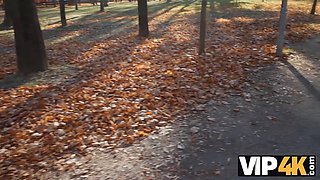 VIP4K. Samesex cheating