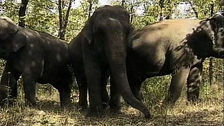 Picked up babes outdoor hardcore fuck for cash in cool POV