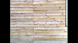 Blonde MILF Nancy Reegan Gets Fucked Happy on Beach - Doggy Style & Blowjob