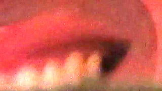 Porn Vlog: a Week in Bariloche with Latin Pornstars