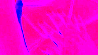 I love my neighbor me by my ass