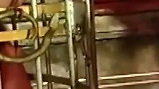 Brunette Dominatrix Teases Her Masked Caged Slave