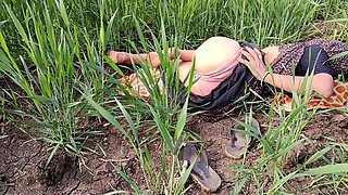 The Desi girl of the village, yearning for sex in the outdoor wheat field, is turning and turning and putting her fingers in her