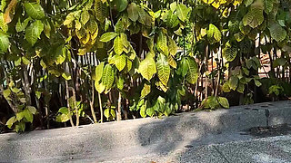 Feet Tease Outdoor While Watching a Movie