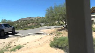 Wifey Desert Feed - Blowjob
