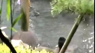 Amateur girls voyeur copulating in public place