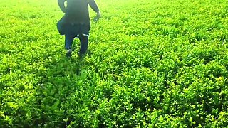 Abida Parveen Gets Fucked Hard in Khet, Then Stopped When Someone Comes
