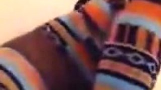 Big Black Brazilian Booty