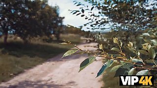 Vip4k. city pecker, country girls