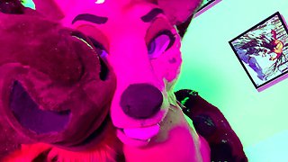 Homemade Free Amateur Webcam Porn Video