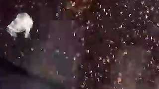 Cuckold Takes His Wife Out to Get Cummed on by Strangers Outdoors!