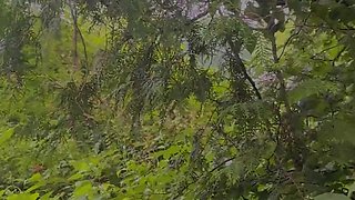 public play behind the neighbours house