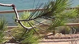 Dick Flash - I Pull Out My Cock in Front of a French Girl... Beach Path and She Helps Me Cum in Mounth Caught!!!