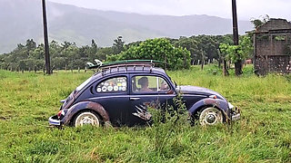 Playing in the Mud with the Beetle