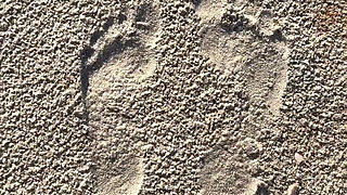 Comparing Size 16 Feet to Sand Prints at the Beach