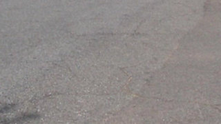 Lily of the Valley #15