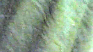 Amateur, College Girl Fucked in Homemade Video (complete Video)