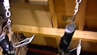 Dominating Action For Poor Chick