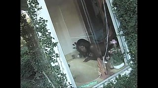 Amazing Black Girl Fucked in Hairy Pussy and Cum on Mouth by Monster Black Cock