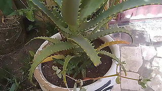 A Needy Wife Who Was Desperate for Sex, but Her Husband Was Only Thinking About Playing Video Games.