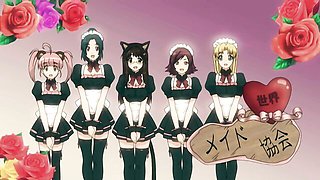 Hooker's blowjob clip