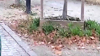 Amateur Blonde Mature Wife Enjoys Sex After Walk