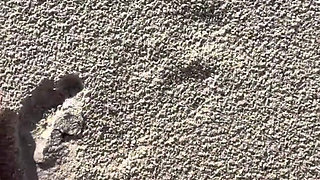 Comparing Size 16 Feet to Sand Prints at the Beach