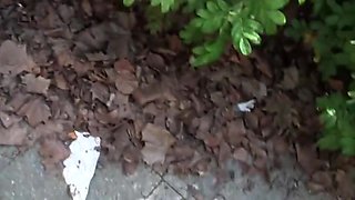 Czech Amateur Blowjob And Fucking Pov In Public