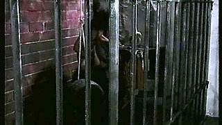 Cute brunette gives blowjob before hardcore fuckin