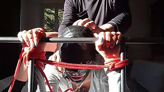 MILF Compilation of Frontal Sex