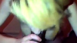 Skinny Blonde Sucks BBC POV