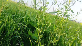 Khet kheton mein gand Marne Laga upar se Koi aaega FIR chhod Diya