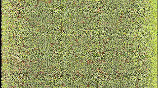 At Moana' Club Lesbian Orgy, DP and Interracial Fuck