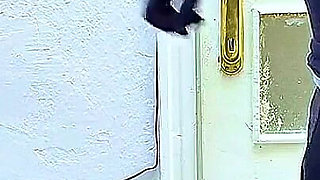 Hot Sex with a Veiled Nurse in the Clinic