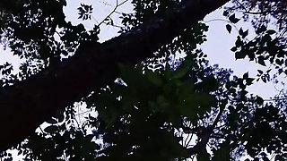 She pinned me against a tree in the park and greedily ate my pussy