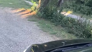 Slutty Step Mom Punished in the Car Like a Whore