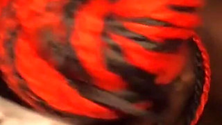 Naughty Easter Nerd Bunny Take Over Spits on Big Tits Sloppy Wet for the Ultimate Blowjob Perfect Nipples Pierced - Mastermeat1