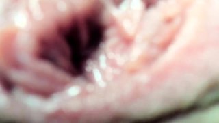 Obese EXGF Close Up Oral Job Sex Cook Jerking Cum Taste